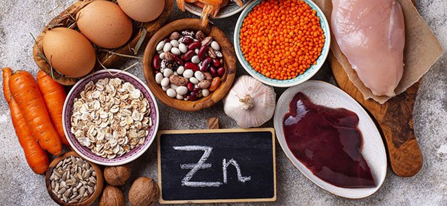 Aliments les plus riches en Zinc