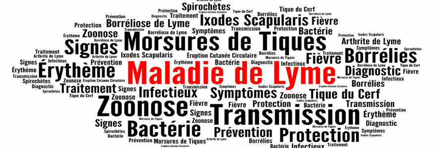 Les manifestations cliniques de la borréliose de lyme