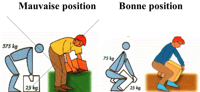 postures dans la manutention